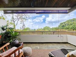 The Arcadia (D11), Condominium #438831541